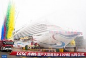 国产大色网,引领色彩潮流的视觉盛宴